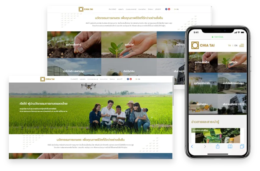 1001click portfolio project ผลงาน website