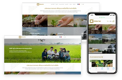 1001click portfolio project ผลงาน website