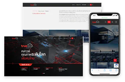 1001click portfolio project ผลงาน website